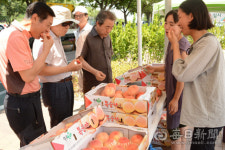 복숭아, 내리지 말고 차 안에서 사세요