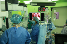 [2022 4년제 수시 특집] 자연계열의 촤상위권 의학계열 지원 전략