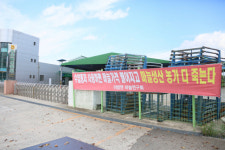 마늘 주산지 창녕에서 ‘국산 마늘 종구 장려 운동’ 펼쳐져