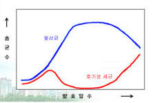 [김순동의 발효이야기]   젖산균  비율이 높으면 잡균들은 번식이 종료