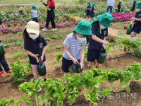 고산도서관-대구농업마이스터高 자연을 꿈꾸는 텃밭놀이터 호평