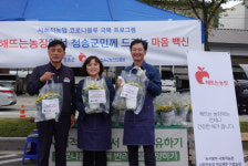 반려식물로 코로나블루 극복하세요…청송군·해뜨는농장, 주민에 가을국화 무료 분양