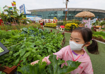 [포토뉴스] 도심 속 텃밭에서 힐링을, 동대구역 광장 내 도심 속 힐링농장 조성 눈길