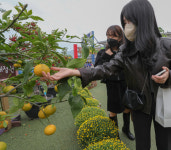 [포토뉴스] 도심 속 텃밭에서 힐링을, 동대구역 광장 내 도심 속 힐링농장 조성 눈길