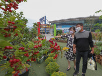 [포토뉴스] 도심 속 텃밭에서 힐링을, 동대구역 광장 내 도심 속 힐링농장 조성 눈길