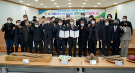 끈적·밋밋한 맛 마, 단호박·사과와 어우러져 먹기좋은 젤리로 가공