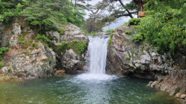 [두바퀴로 달리는 경북도 명품길] 상주 삼백(三白)길 70Km