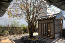 [카페 민지(MZ)] 낡은 기와집 모과나무 정원에 그윽한 커피향이 있는 오가닉 모가