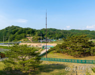 [김태형의 시시각각] <101> 아름다운 상생, 예천 석송령(石松靈)