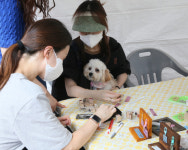 청도군, ‘2022 반려견을 위한 콘서트’ 한여름 밤의 무대 선사