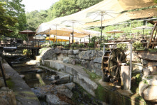 [카페 민지(MZ)] 비슬산 아래서 커피와 함께…카페 담(DAM)