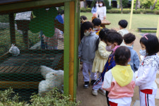 우리 학교 동물 친구들을 소개합니다! 대구 학교 내 동물기르기 활발