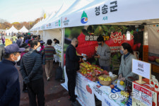 [포토뉴스] 대구경북 농산물 상생장터
