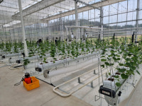 [규제에 발목 잡힌 스마트팜] 콘크리트 건물 수직농장, 농지에 못 들어선다