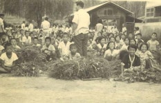 [100년 학교] 협동학교 정신 행복한 배움터…안동 임하초교