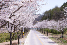 [경북 뉴 관광지] <14> 천혜의 자연경관 간직한 예천의 권역별 관광코스