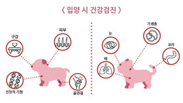 [박순석의 동물병원 24시] 반려동물 진료비 부담을 줄이는 방법