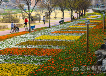 [포토뉴스] 남천 둔치 어울림 화단