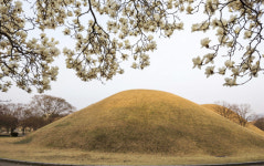 [우리들의 경주 그곳에 가고싶다] <13> 대릉원의 봄