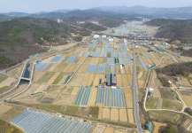 대구시 매천시장 이전 사업 최우선 과제는 5월 국비 신청