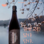 안동이 만들고, 안동이 디자인한 로컬 수제맥주 경화수월 인기