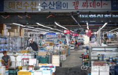 [포토뉴스] 한산한 대구매천수산시장