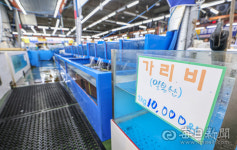 [포토뉴스] 한산한 대구매천수산시장