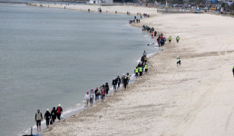 [시각과 전망] 천년숲길 맨발걷기