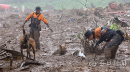 [르포]산사태로 마을 온통 뻘밭...순식간에 사라진 백석리 마을(종합)