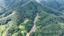 예천 산사태, 무엇이 화 키웠나? 울창한 산림에선 산사태 진행 멈춰
