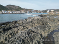 포항 오도리 주상절리 국가지정문화재 지정