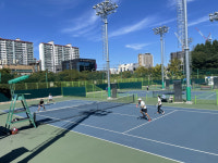 대구시민생활체육대축전 16∼17일 개최