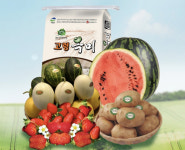 [유통특집]고령딸기·감자·수박·메론·옥미…전국민 사로잡는 맛