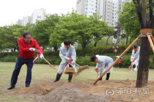 신천 둔치에 그늘 진 숲길이…푸른 신천숲 사업 10월부터 본격화
