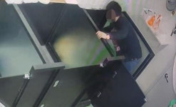 발로 밟고 내던지고…고객 반려견 상습 학대한 애견카페 업주