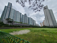 구미 옥계동 노른자땅 학교부지 20년 넘게 방치…대책마련 필요