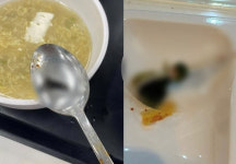 벌레 감자탕에 케이블타이 김치까지…유명대학 학식 논란