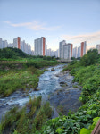 제12회 달성군 전국사진공모전 대상에 배원근(일반), 송경철(스마트폰) 수상