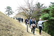 고령 방문객 대가야의 향기와 록의 향연에 빠지다