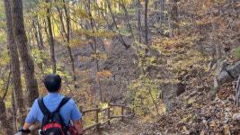 [休~경북의 힐링길] <3>폐서인된 숙종의 왕비가 걷던 인현왕후길