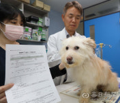 반려동물 인기에 너도나도 꿈꾸는 수의사…내년 수의대 정시 선발은?