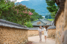 [休 경북의 힐링길]TIP 여기도 들러 보세요…성밖숲 한개마을 성산동고분군