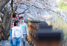 [休경북의 힐링길] 성주호둘레길…사시사철 언제 걸어도 부족함 없네