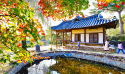 [休경북의 힐링길] 성주호둘레길…사시사철 언제 걸어도 부족함 없네