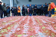 울진 대게가 돌아왔다