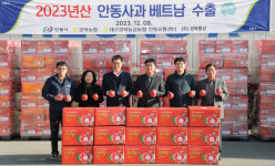 안동사과 13톤 베트남 수출길 올라