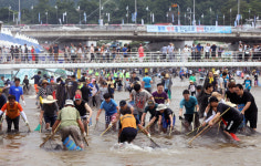 봉화은어축제·청송사과축제, 2024~2025 경북 대표 지정 최우수축제로 선정