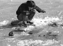 [김태형의 찰나의 순간 역사적 기록]  1970년대 동촌 금호강 스케이트