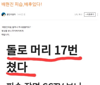 전여옥, 배현진 습격 '배후설' 주장…