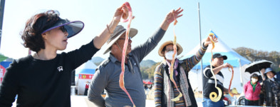[함께하는 군민, 모두가 잘 사는 청송]<3-1>청송 문화의 꽃 ‘청송사과축제’